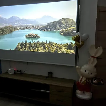 Lujo Parking, Proyector, Maquinita Y Patinetes Οβιέδο